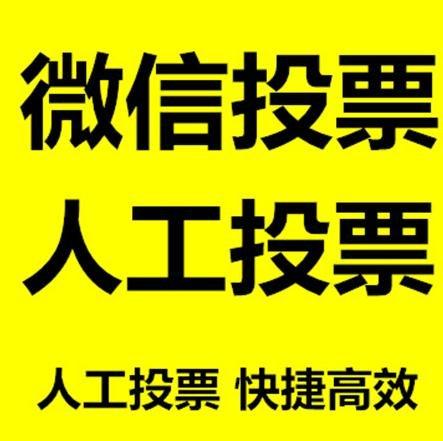 商洛市微信刷票怎么投票